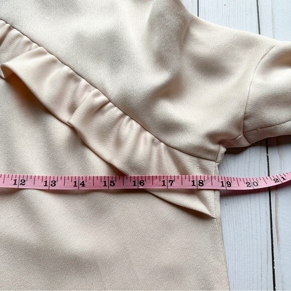 IRO Soniah Ruffle Turtleneck Mini Dress - Picture 11 of 13